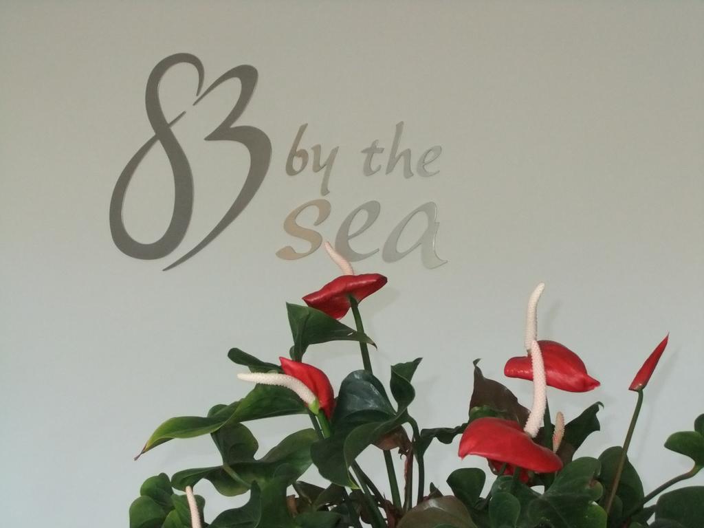 83 By The Sea Motor Lodge Lower Hutt Buitenkant foto